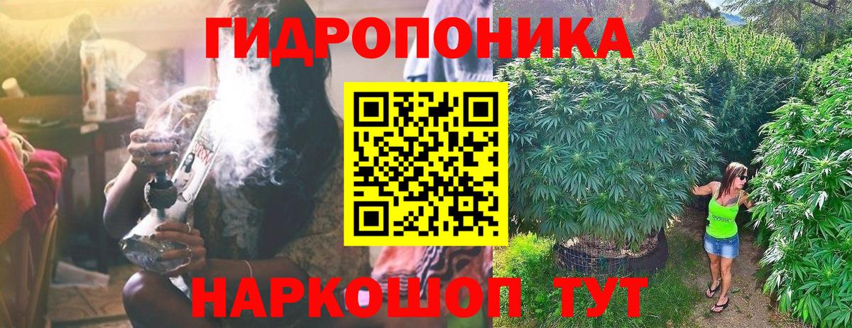 Бошки марихуана MAZAR  Канабис сатива  Вход с VPN  Гулькевичи 